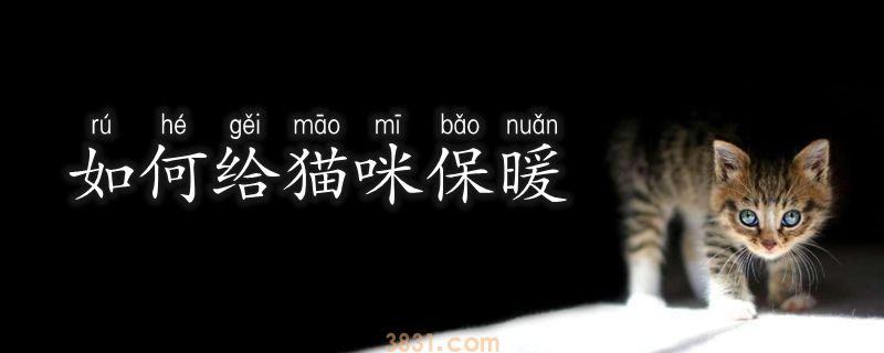 如何给猫咪保暖(图1)