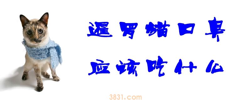 暹罗猫口臭应该吃什么(图1)