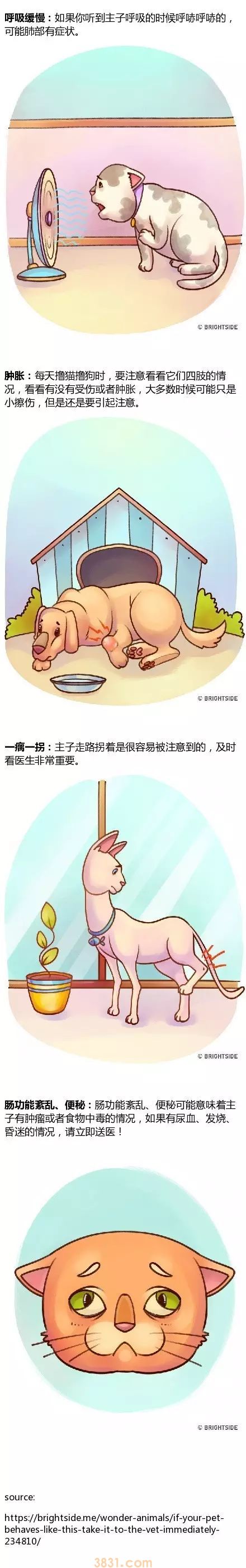 家里宠物生病的14种症状!(内附生动图片)(图4)
