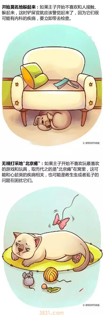 家里宠物生病的14种症状!(内附生动图片)(图6)