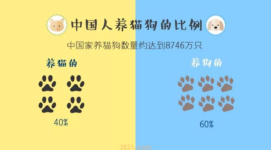 养猫VS养狗,这两类人的差异你一定想不到(图1)