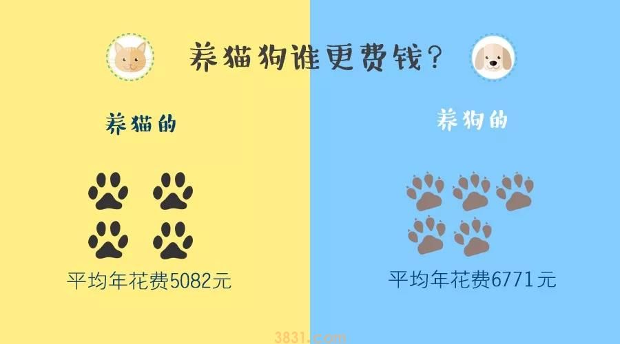 养猫VS养狗,这两类人的差异你一定想不到(图2)