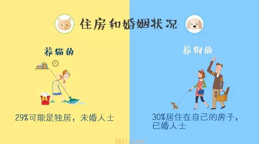 养猫VS养狗,这两类人的差异你一定想不到(图5)