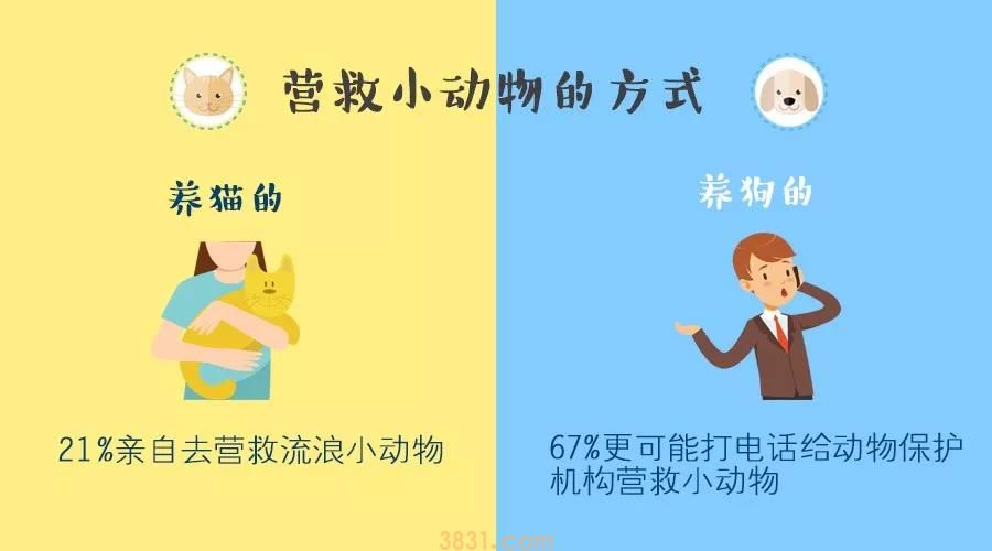 养猫VS养狗,这两类人的差异你一定想不到(图4)