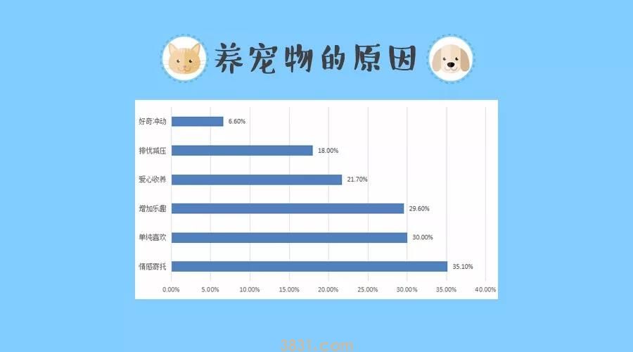 养猫VS养狗,这两类人的差异你一定想不到(图8)