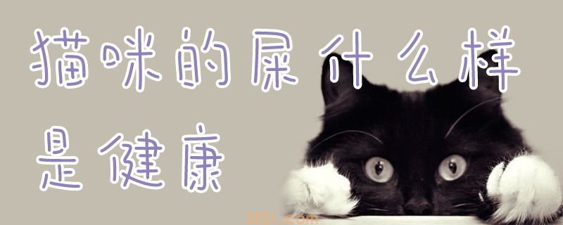 猫咪的屎什么样是健康(图1)