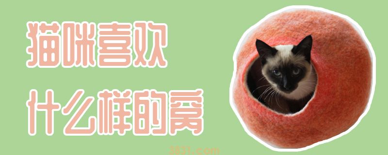 猫咪喜欢什么样的窝(图1)