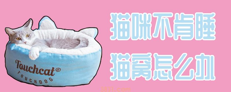 猫咪不肯睡猫窝怎么办(图1)