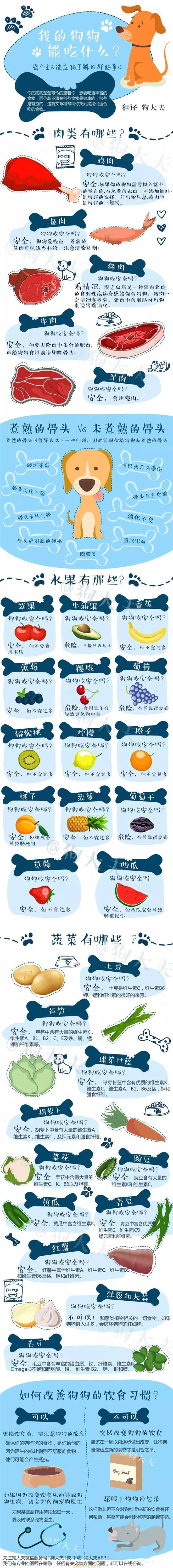 狗狗不能吃什么食物 一张图告诉你!(图2)