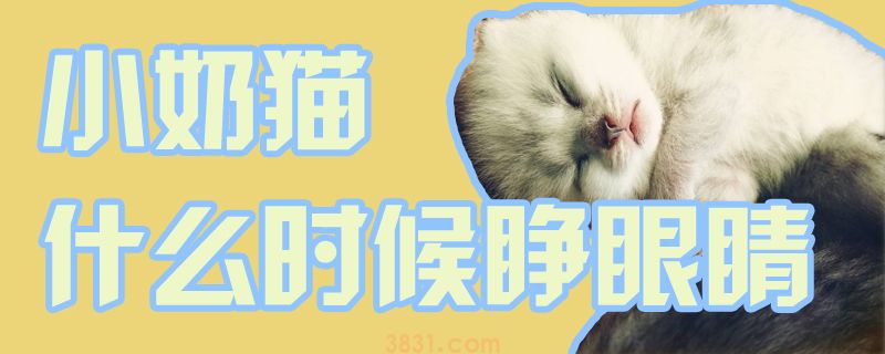 小奶猫什么时候睁眼睛(图1)