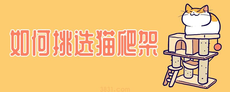 如何挑选猫爬架(图1)