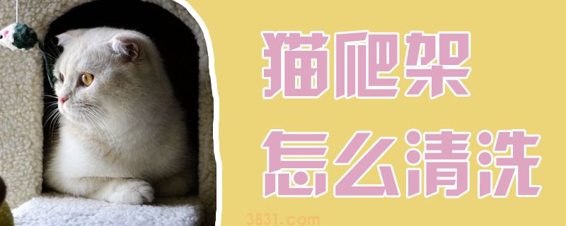 猫爬架怎么清洗(图1)