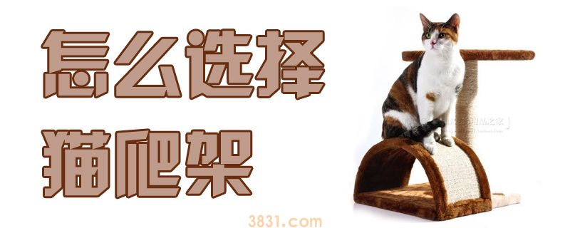 怎么选择猫爬架(图1)