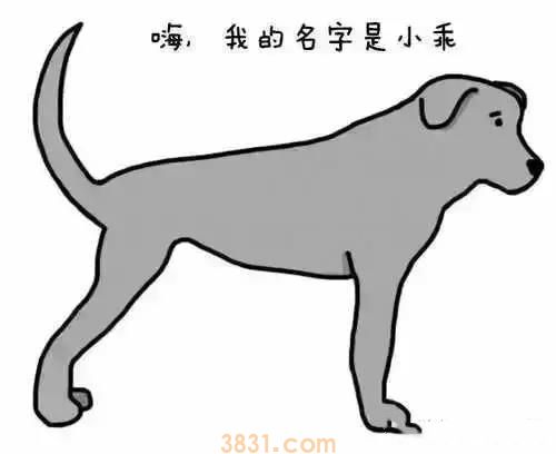 狗狗摆尾巴隐藏的含义 你真的读懂了吗?(图2)