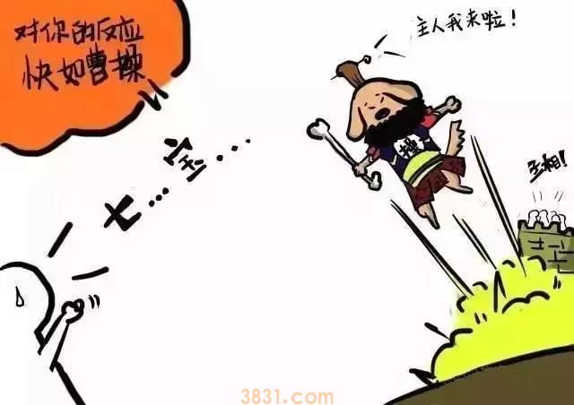 养狗狗后才发现的9件事 养狗的你膝盖中枪了吗?(图2)