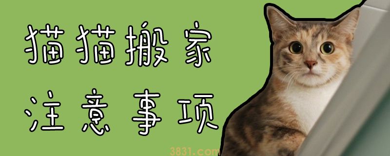 猫猫搬家注意事项(图1)