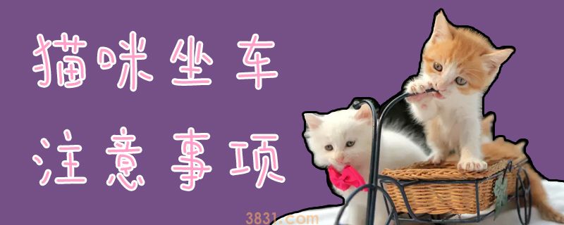 猫咪坐车注意事项(图1)
