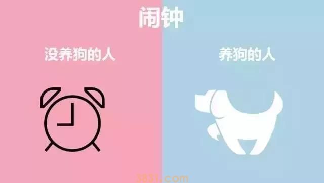养狗的人vs不养狗的人,大概就是两个世界的吧(图1)