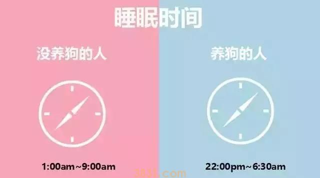 养狗的人vs不养狗的人,大概就是两个世界的吧(图3)