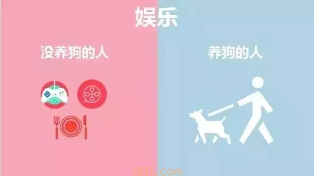 养狗的人vs不养狗的人,大概就是两个世界的吧(图2)