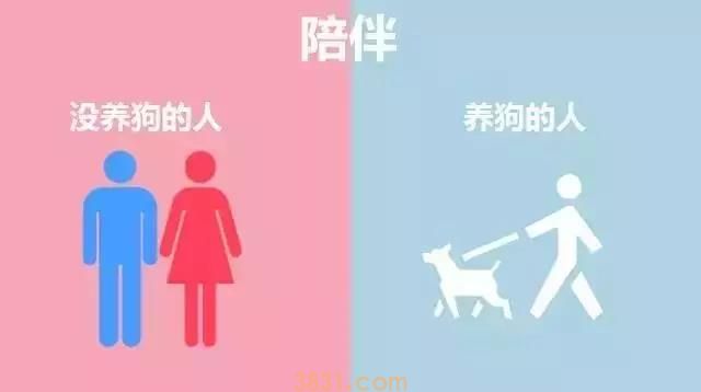 养狗的人vs不养狗的人,大概就是两个世界的吧(图5)