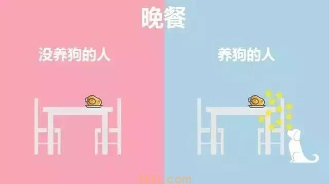 养狗的人vs不养狗的人,大概就是两个世界的吧(图4)