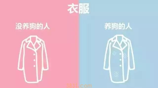 养狗的人vs不养狗的人,大概就是两个世界的吧(图6)