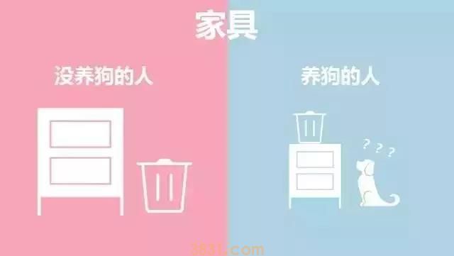养狗的人vs不养狗的人,大概就是两个世界的吧(图7)