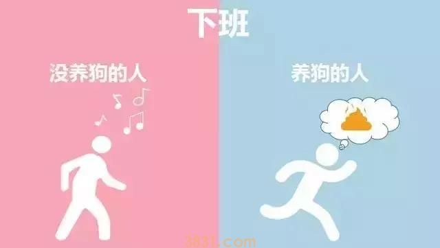 养狗的人vs不养狗的人,大概就是两个世界的吧(图8)