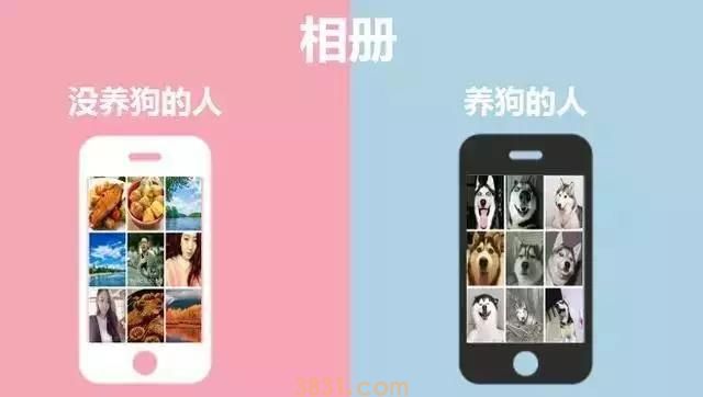 养狗的人vs不养狗的人,大概就是两个世界的吧(图9)