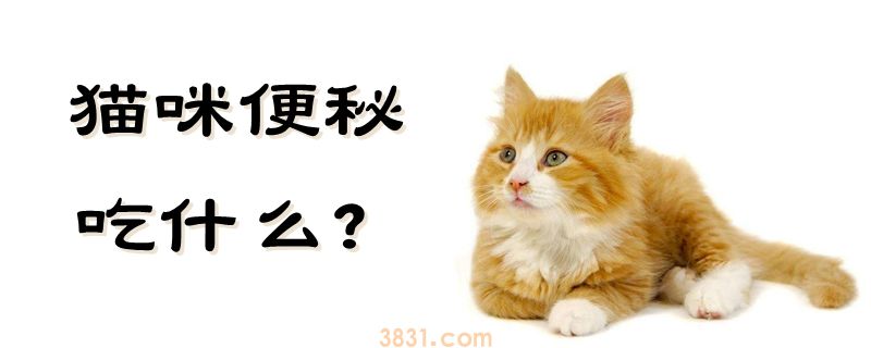猫咪便秘吃什么(图1)