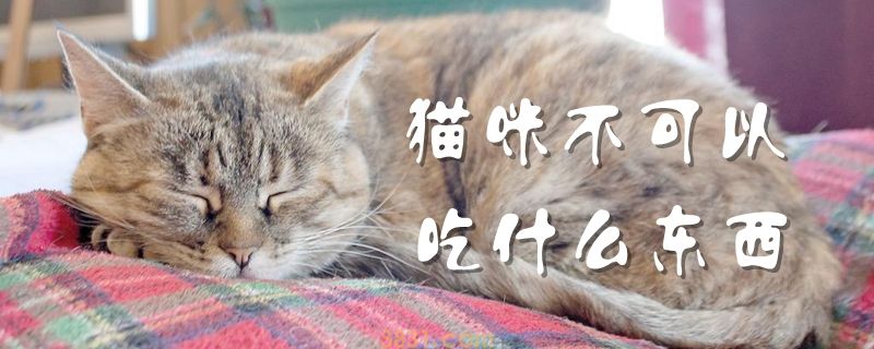 猫咪不可以吃什么东西(图1)