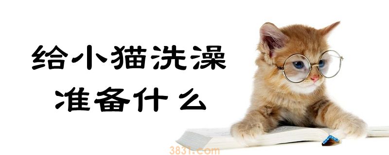 给小猫洗澡准备什么(图1)