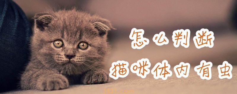 怎么判断猫咪体内有虫(图1)
