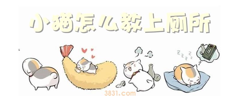 小猫怎么教上厕所(图1)