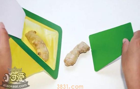 宠物拾便器哪种好用 宠物拾便器怎么使用(图5)
