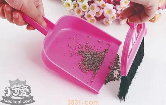 宠物拾便器哪种好用 宠物拾便器怎么使用(图4)