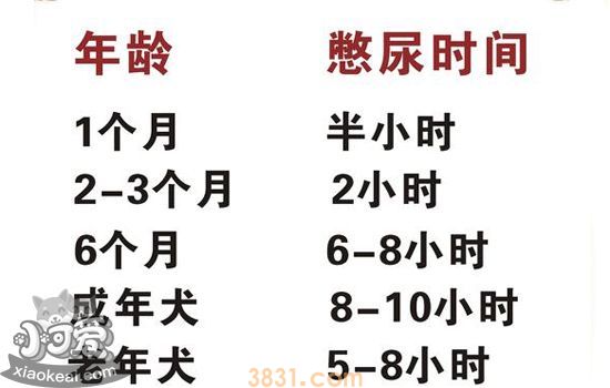 狗狗憋尿能憋多长时间 狗狗憋尿可以憋好久?(图2)