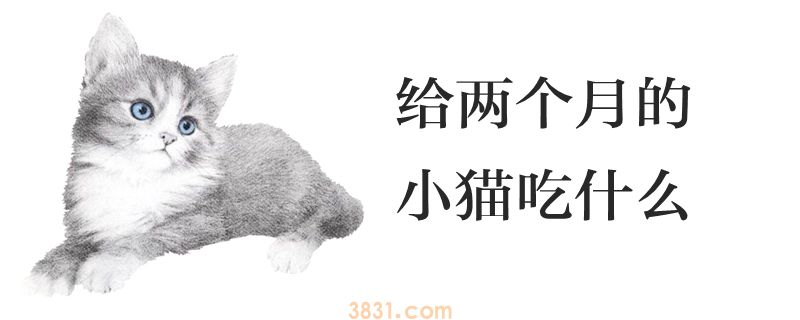 给两个月的小猫吃什么(图1)