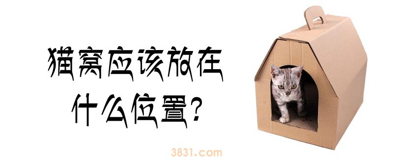 猫窝应该放在什么位置(图1)