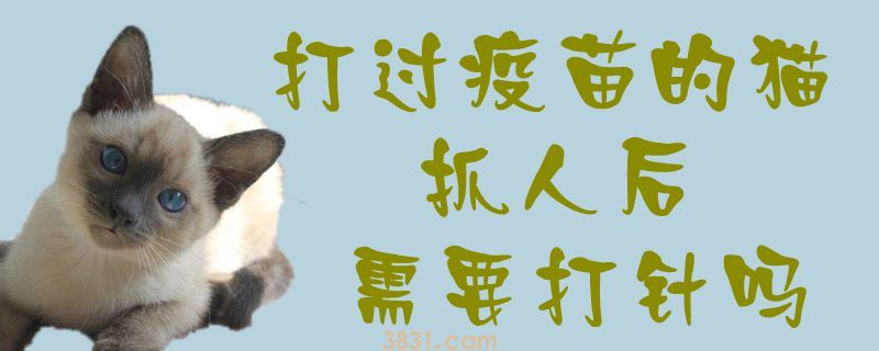 打过疫苗的猫抓人后需要打针吗(图1)