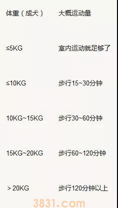 狗狗每天要遛多久 遛狗其实跟体重很有关系!(图1)