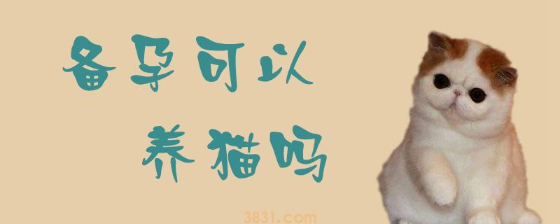 备孕可以养猫吗(图1)