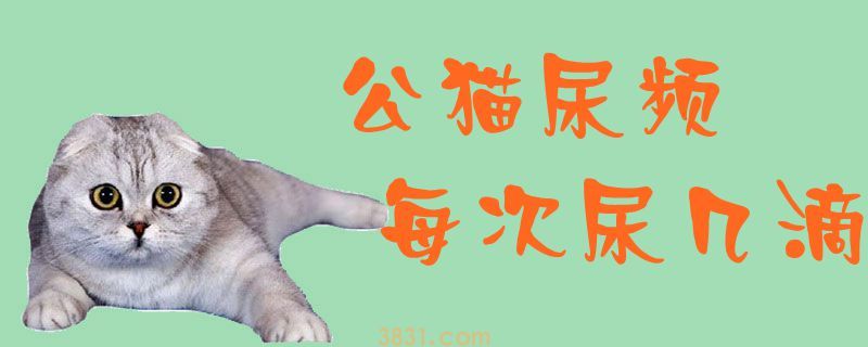 公猫尿频每次尿几滴(图1)