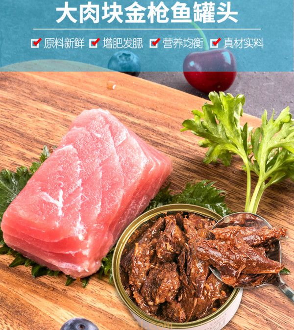 发腮是什么意思 发腮的猫咪更可爱(图2)