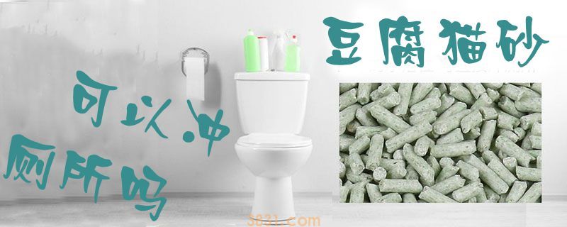 豆腐猫砂可以冲厕所吗(图1)