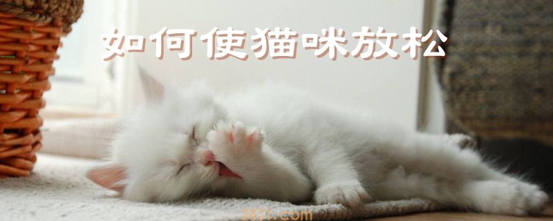 如何使猫咪放松(图1)