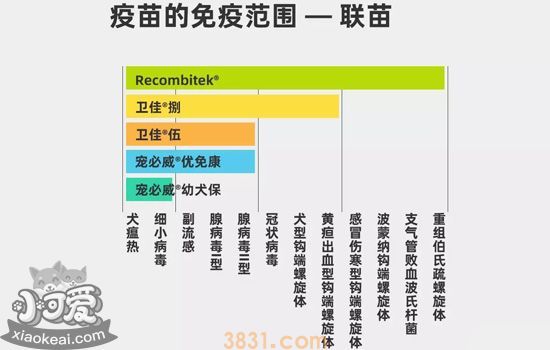 狗狗疫苗有哪些牌子 狗狗疫苗应该怎么打(图1)