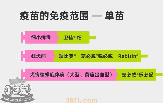 狗狗疫苗有哪些牌子 狗狗疫苗应该怎么打(图2)