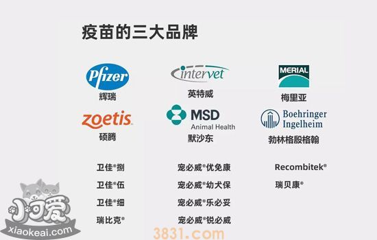 狗狗疫苗有哪些牌子 狗狗疫苗应该怎么打(图3)